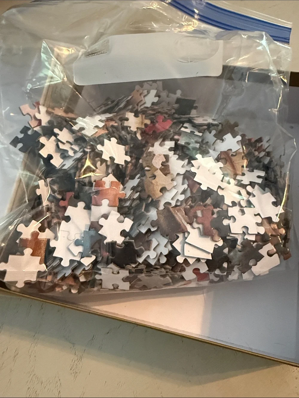 Disney Signature Parks 1000 Piece Puzzle